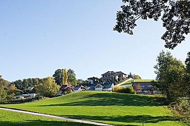 怪物收集RPG《Dome-King Cabbage》上架steam 玩法奇特